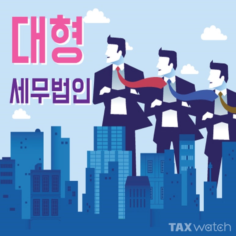 세무법인대한 이미지