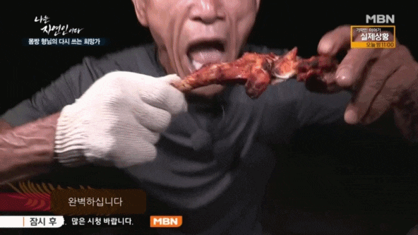 등억알프스야영장 이미지