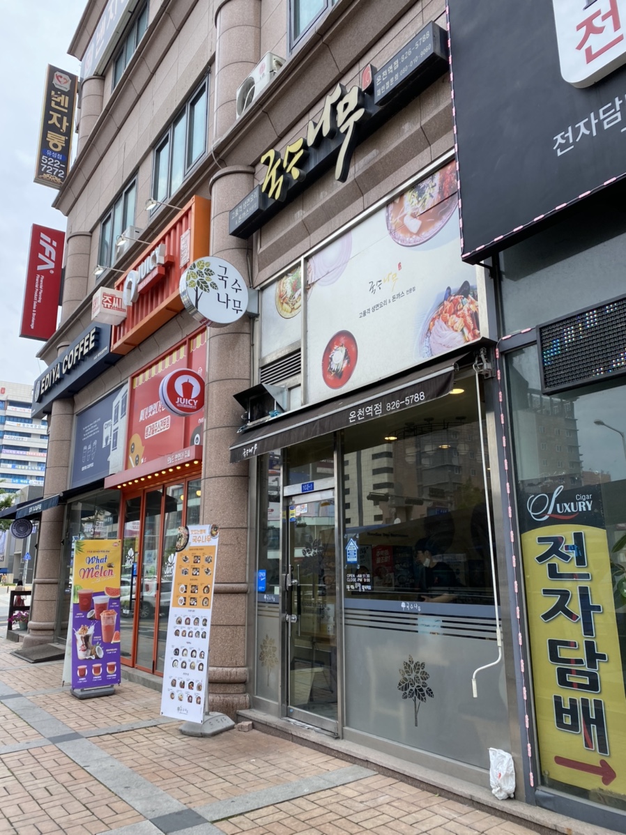 국수나무유성 이미지