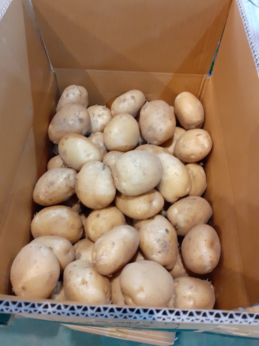 원주농산 이미지