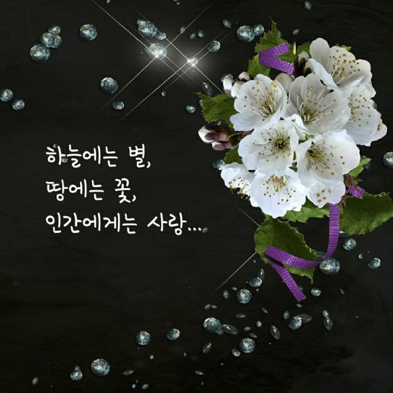 하늘.별.꽃 이미지