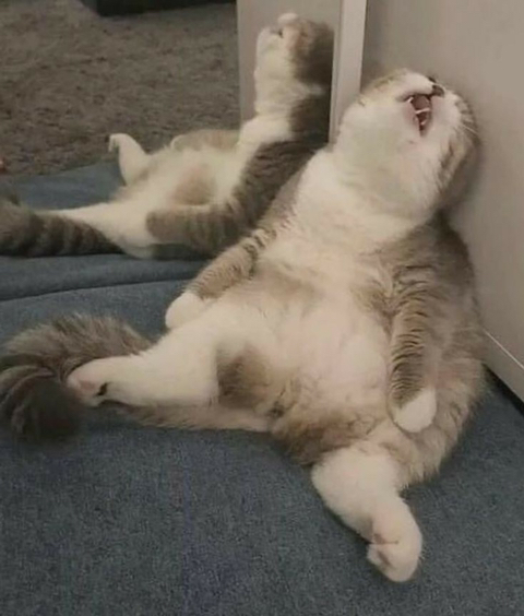꽃꽃한당신 이미지