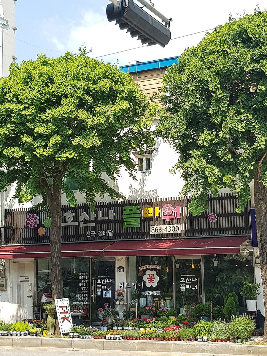 호산나플라워 이미지