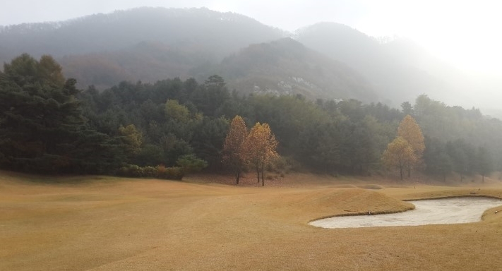 (주)태영레져 이미지