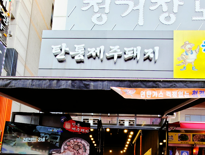 탄통제주돼지 이미지
