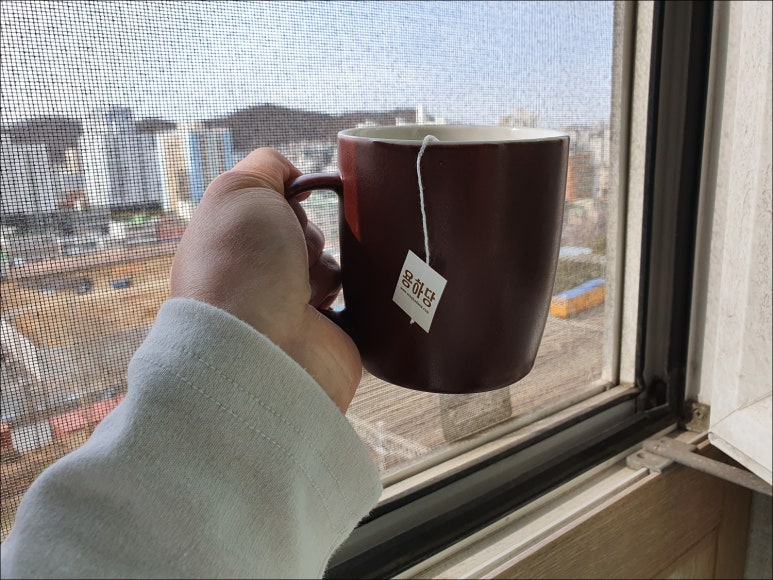 변약초 이미지