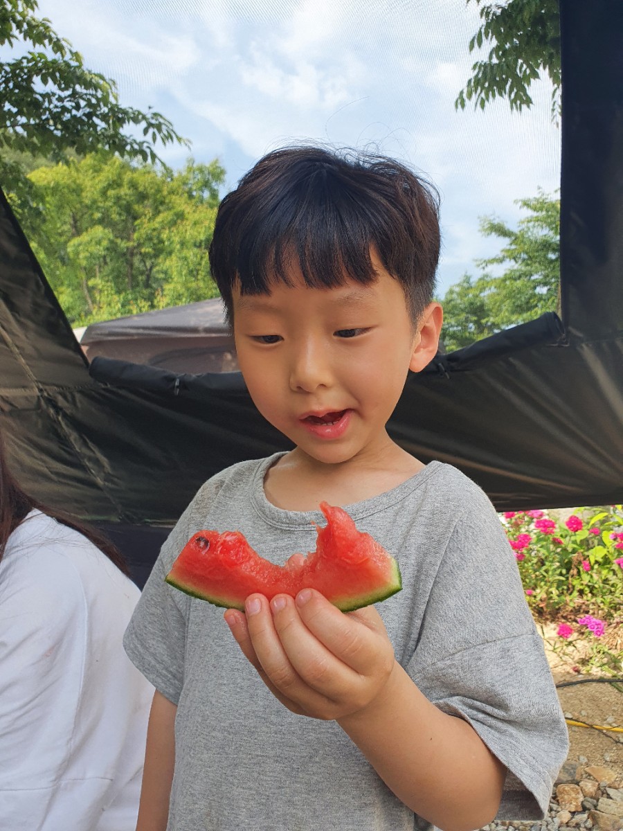 알프스캠핑장 이미지