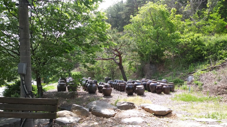 경상도김실네 이미지
