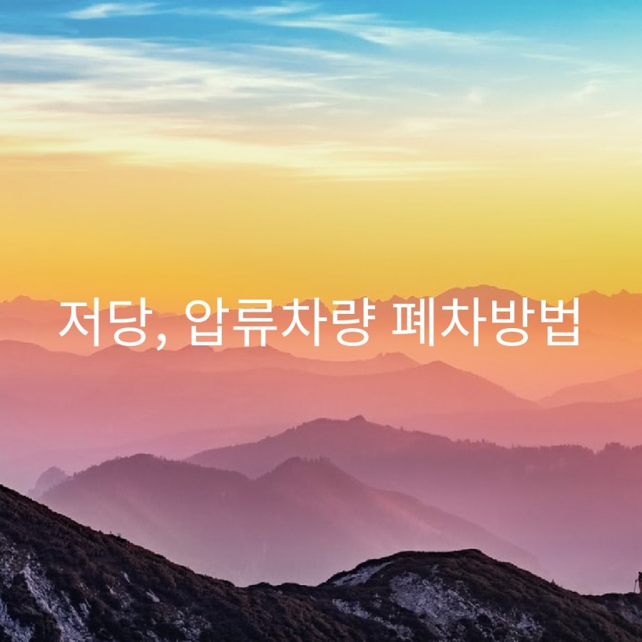 위즈덤행정사사무소 이미지