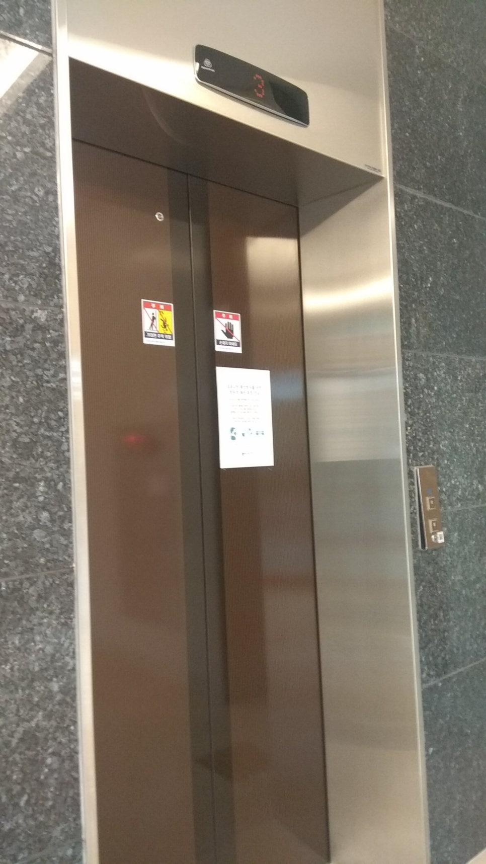 코스모스악기주 이미지