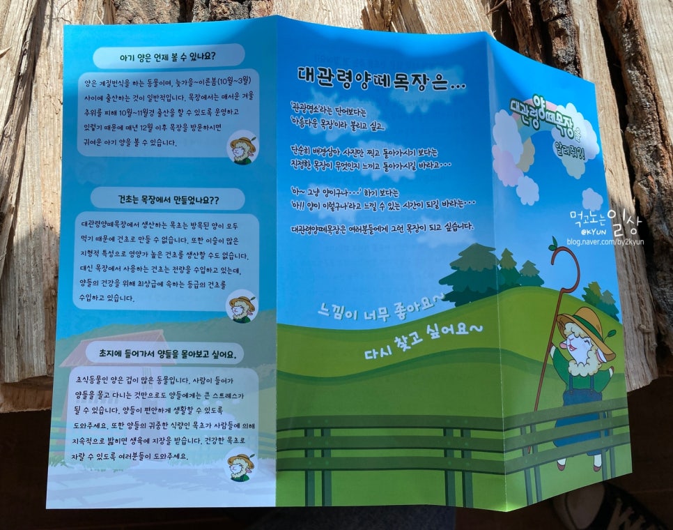 대관령톡톡 이미지