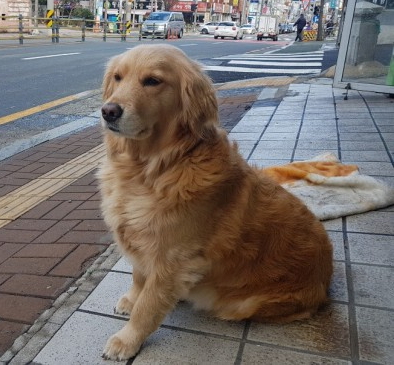 로타리세차장 이미지
