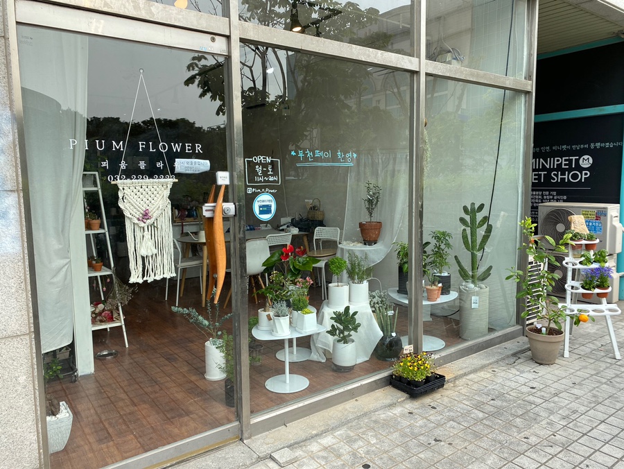 피움플라워 이미지