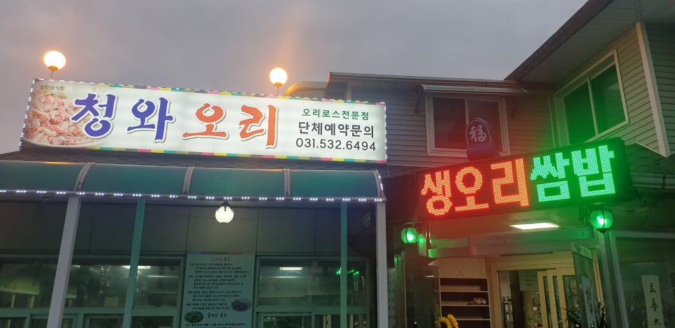 청와오리 이미지