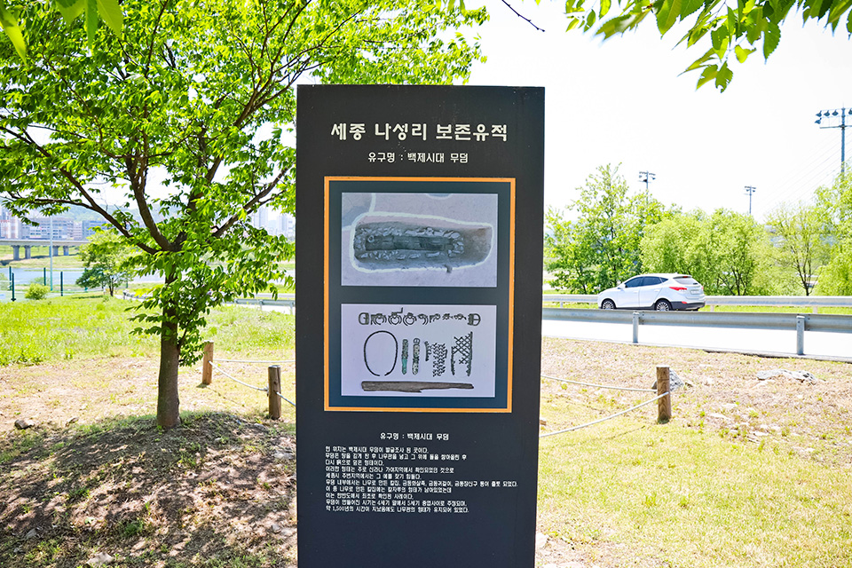 금강스포츠 이미지