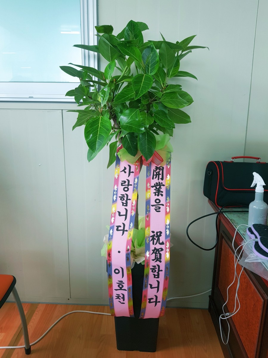 라라샾 이미지