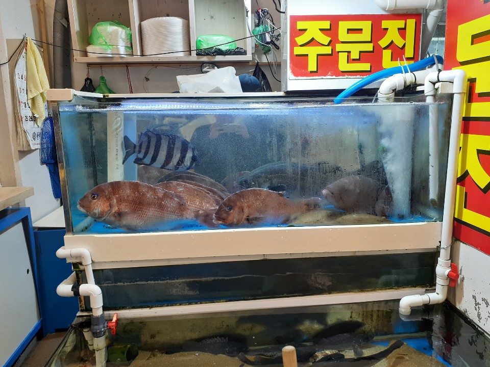 주) 주문진시장 이미지