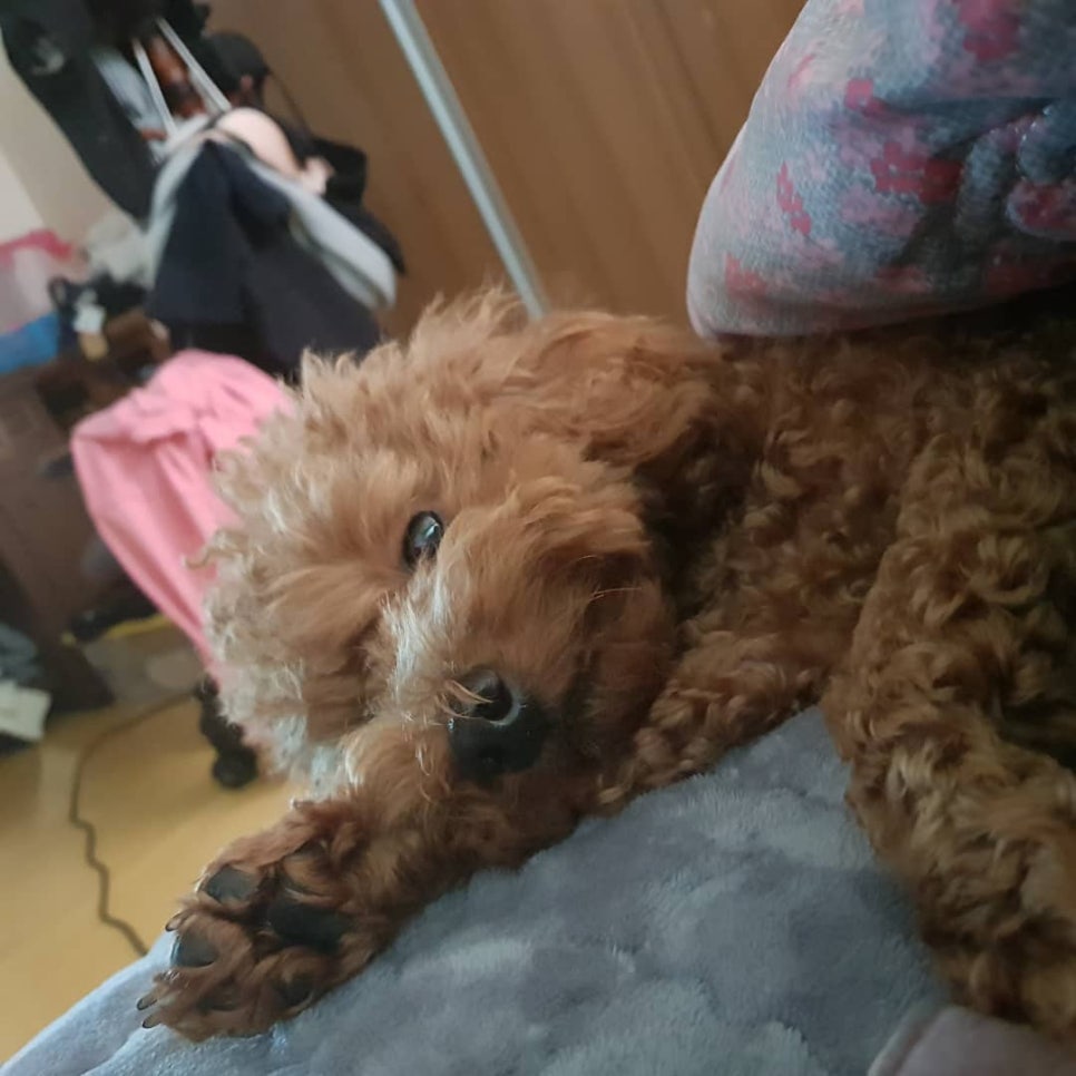 오순이네 이미지