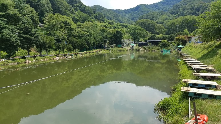 비학농원 캠핑장 이미지