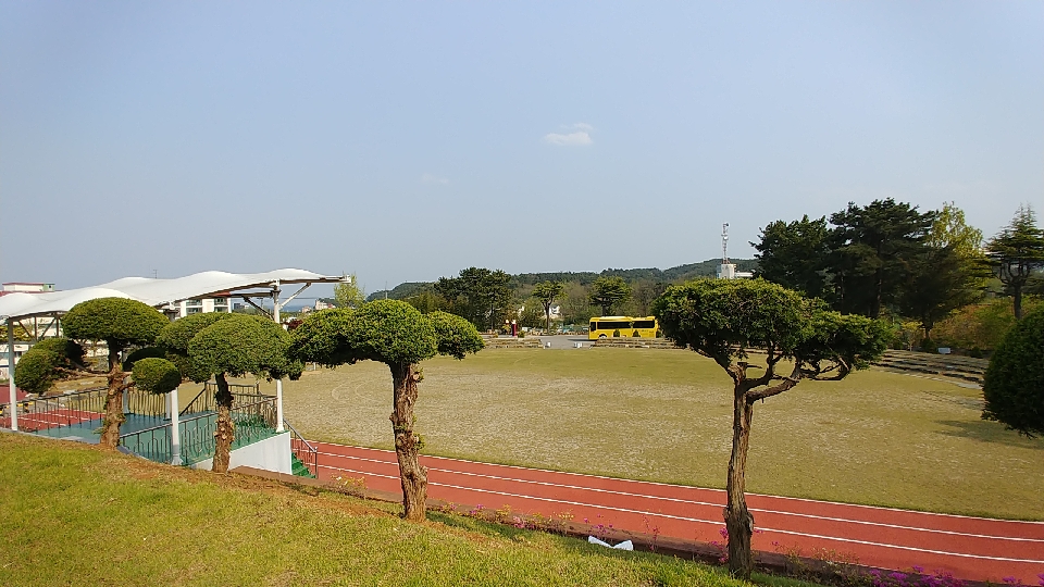 삼척중앙초등학교 이미지