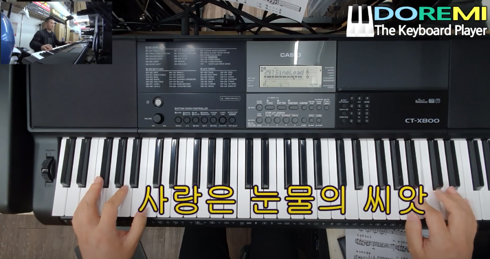 도레미씨앗 이미지