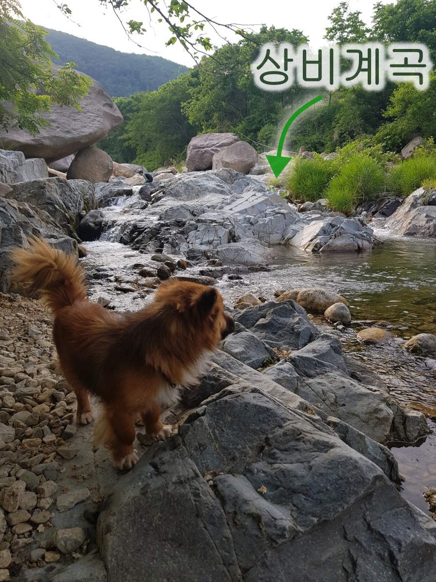 상비 캠핑장 이미지