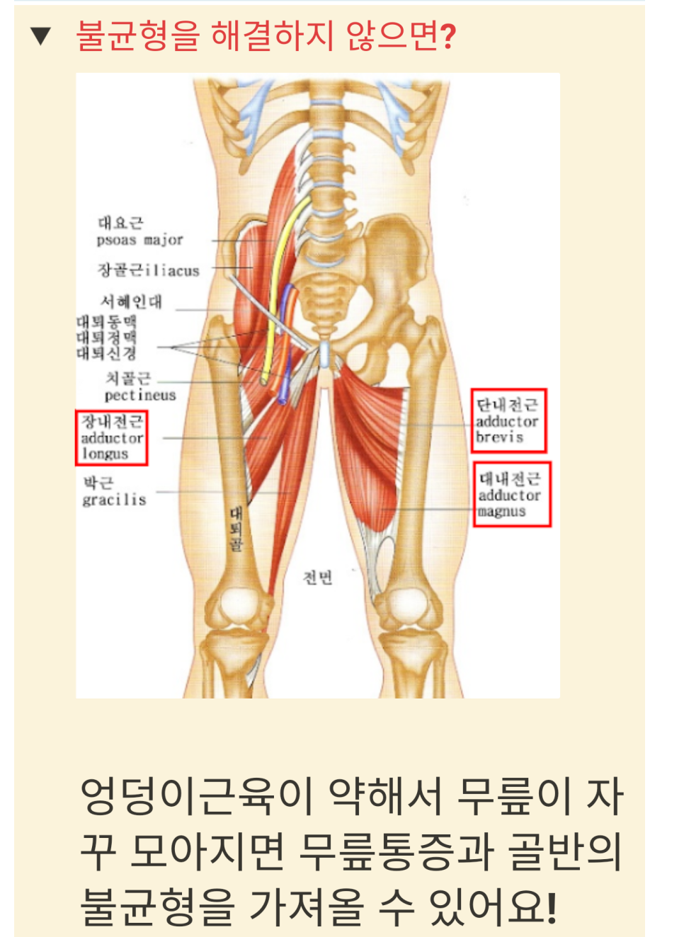 리얼짐 이미지
