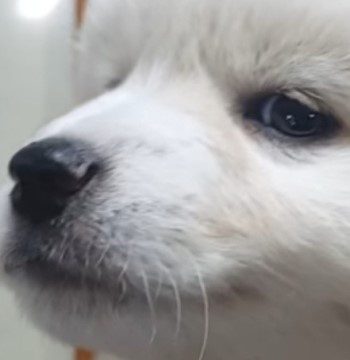오산스타일 이미지