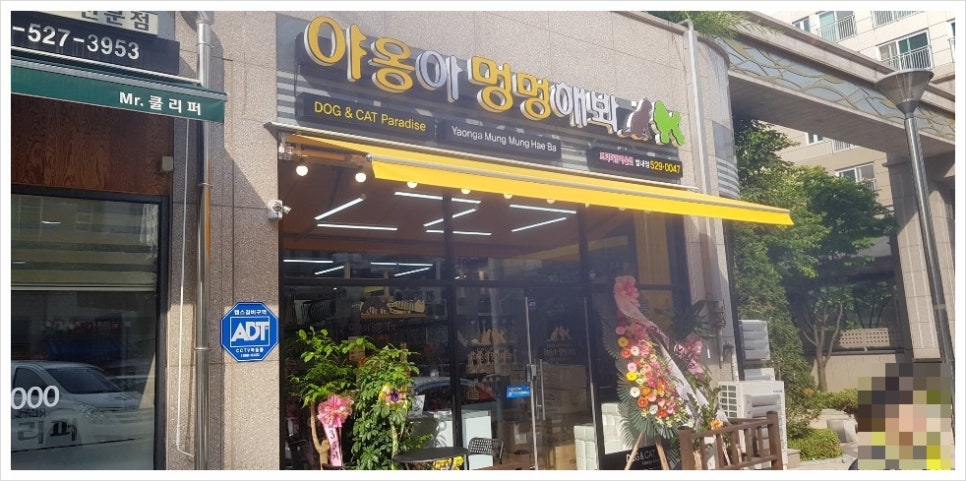 미용천하 이미지