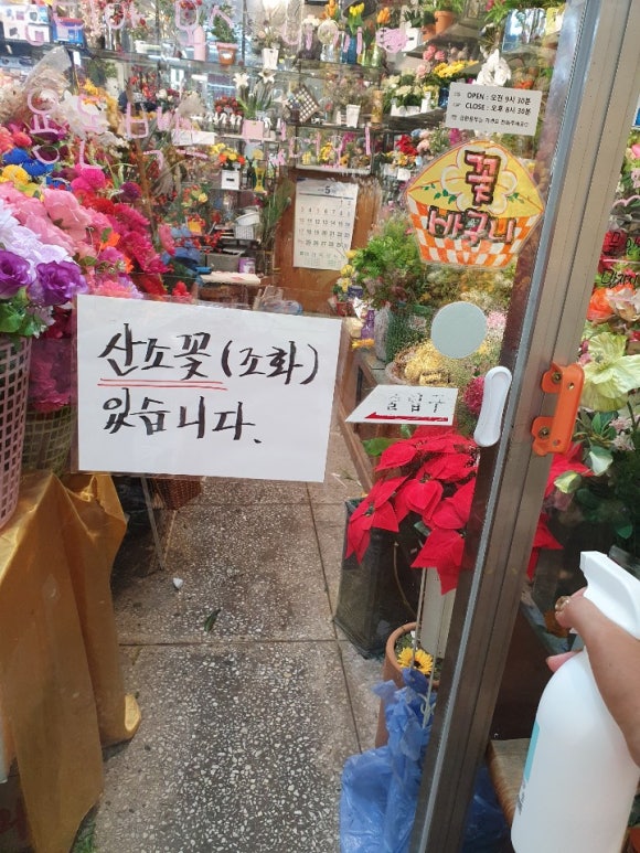 금성방역 이미지