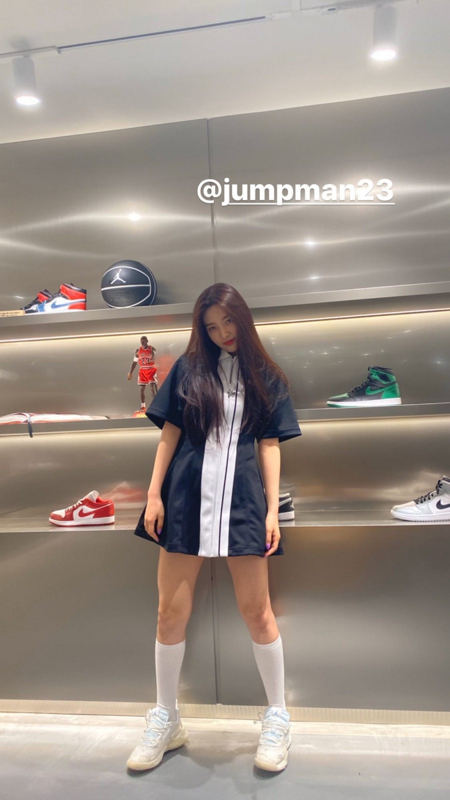 조이식물 이미지