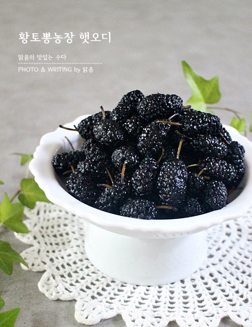 황토뽕 농장 이미지