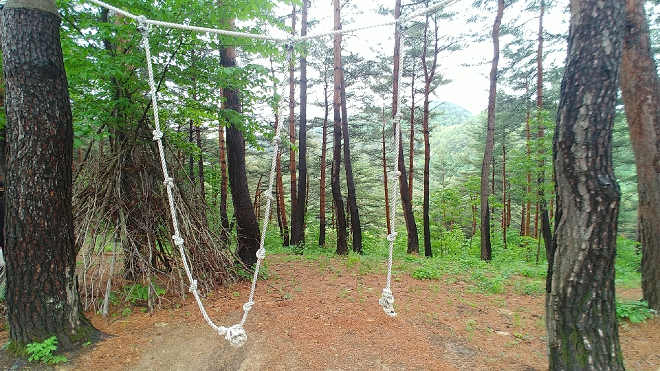 삼척동자 유아숲체험원 이미지