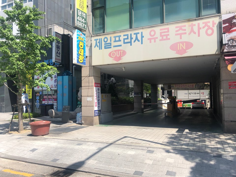핑시화 이미지