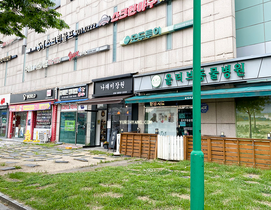 염색나래 이미지