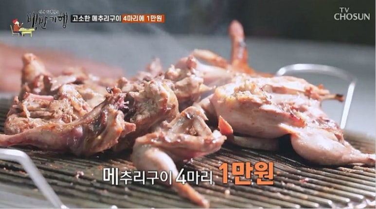 어촌기행 이미지