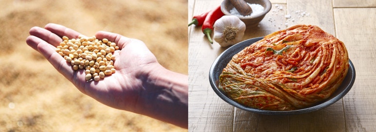 MK푸드 이미지