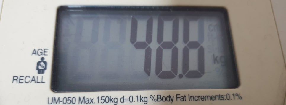 콩부리네 이미지