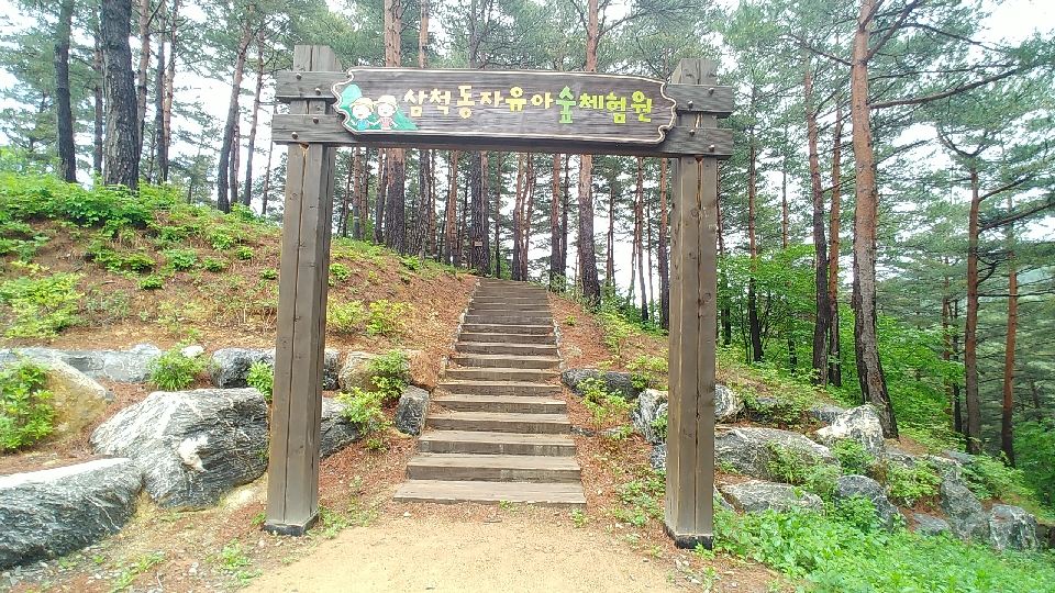 삼척동자 유아숲체험원 이미지