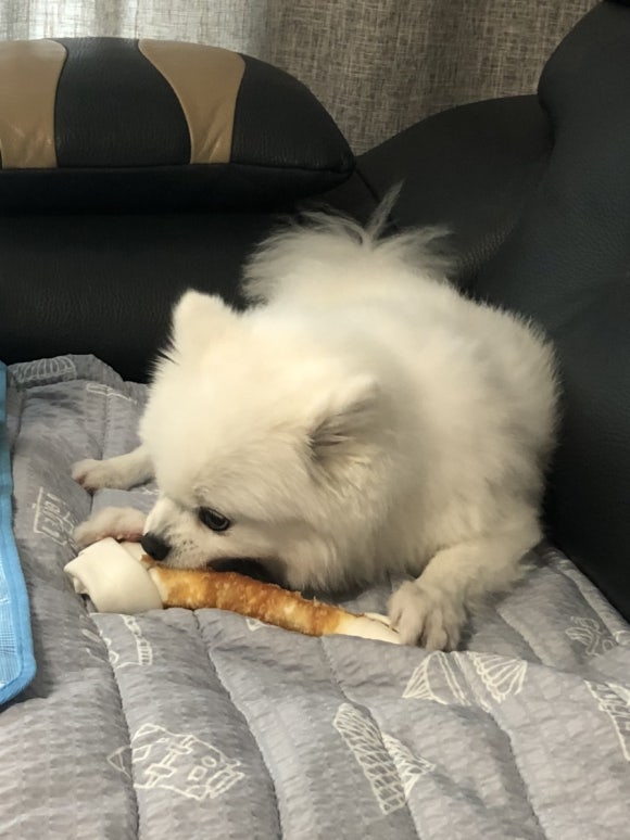루쓰23 이미지
