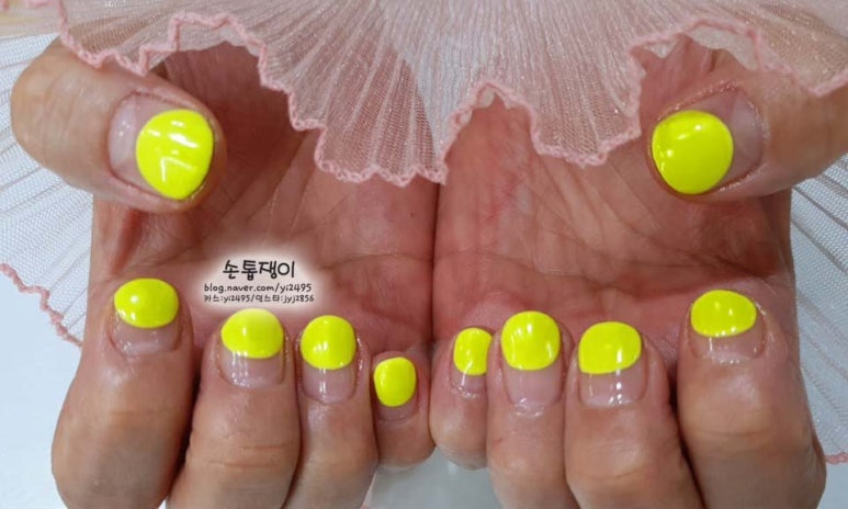 손톱쟁이 이미지