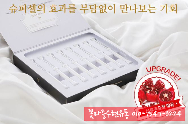 브이엘 이미지