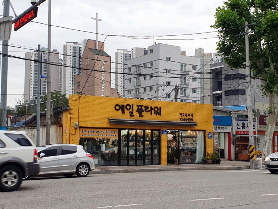 예일플라워 이미지