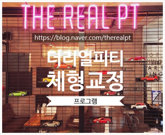 더리얼피티 이미지