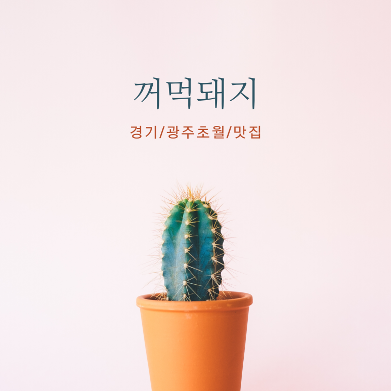 꺼먹돼지 이미지