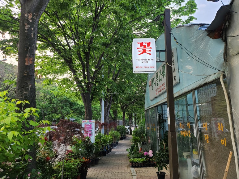 제일꽃직매장 이미지