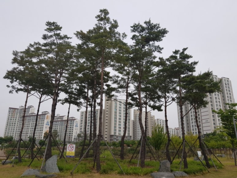 각산비나리공원 이미지