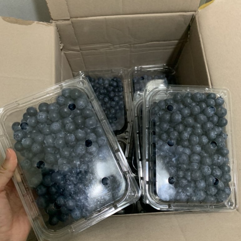 통삼국원박스 이미지