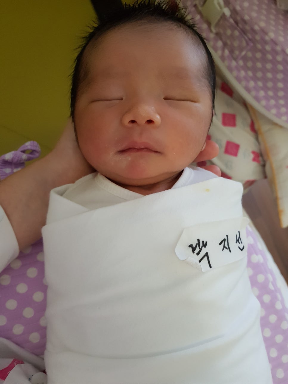 쩨리네 이미지