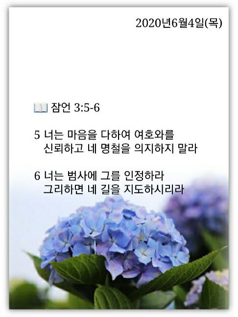 소소한일상 이미지